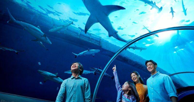 Traveloka.com/ Singapore Oceanarium